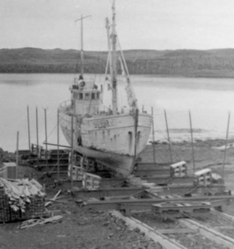 Saga Skipavíkur